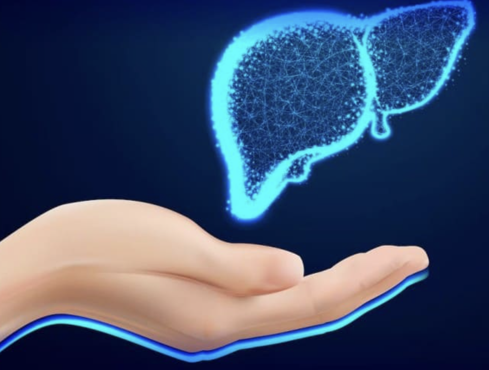 간수치가 높으면 나타나는 증상 12가지 총정리 섬네일