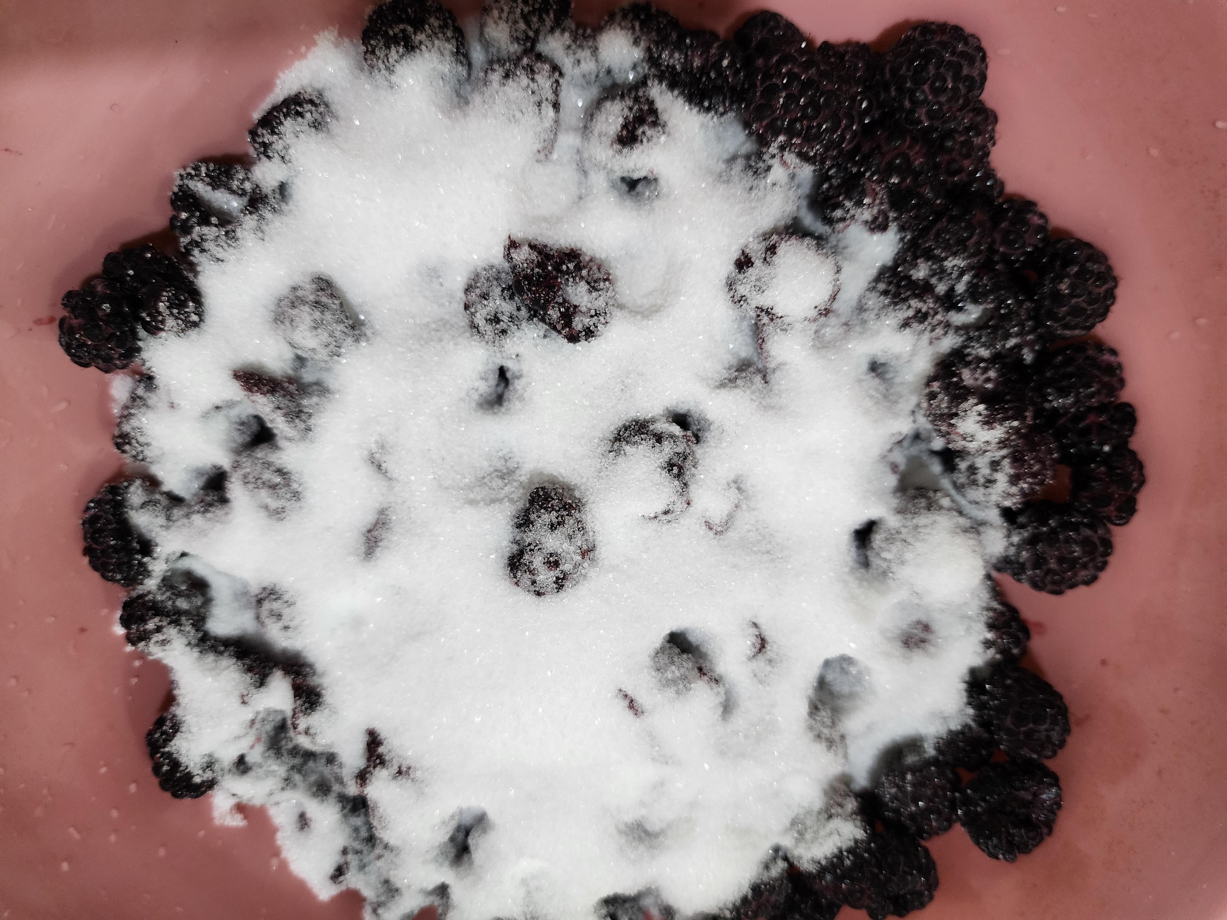 복분자청 만들기&amp;#44; 복분자청 먹는법