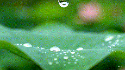 리듬과 속도 조절 프롬프트