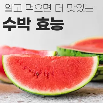 수박 효능_19