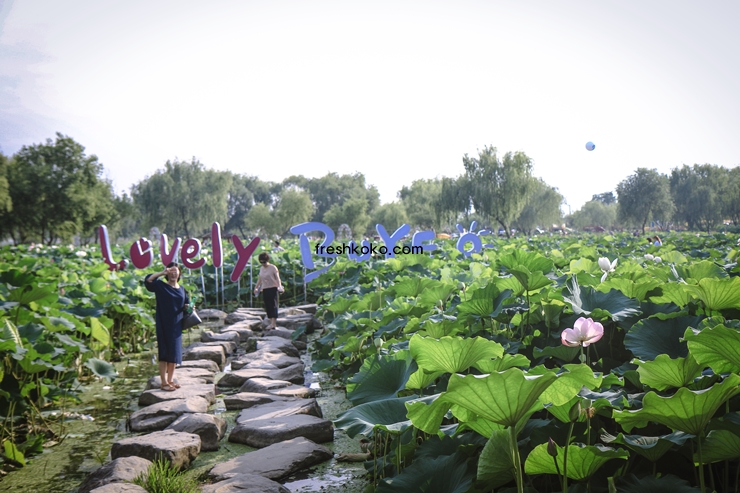 7월 축제 가볼만한곳 10곳 여행지 추천