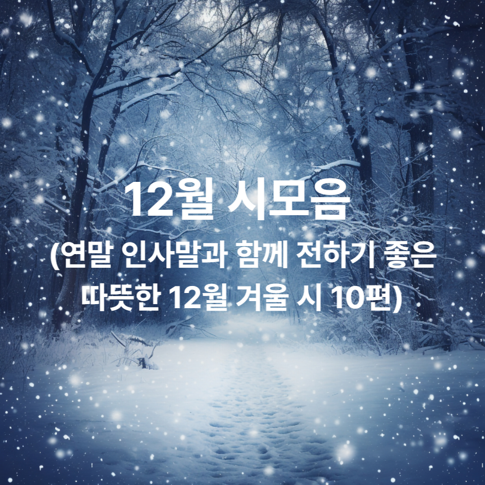 12월 시모음 (연말 인사말과 함께 전하기 좋은 따뜻한 12월 겨울 시)