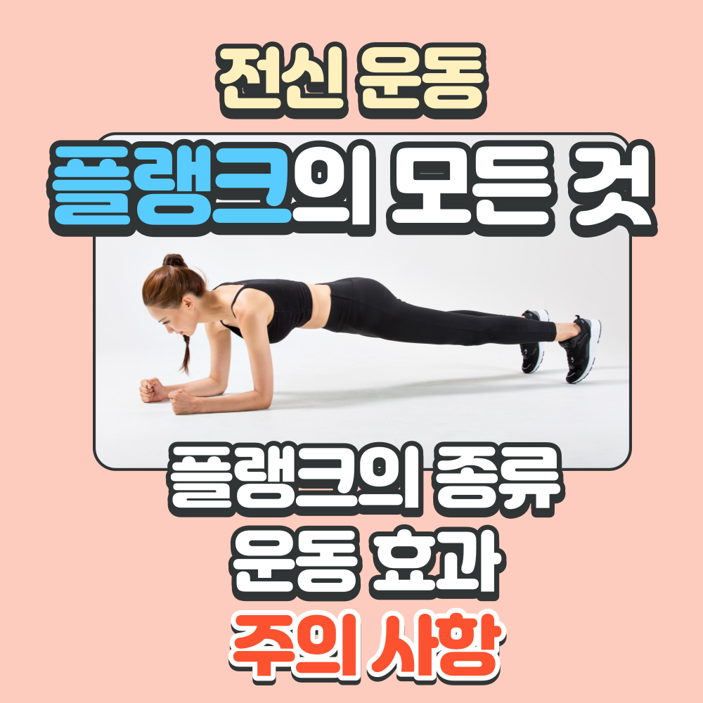 플랭크-효과-종류-주의사항