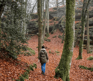 산림복지서비스이용권