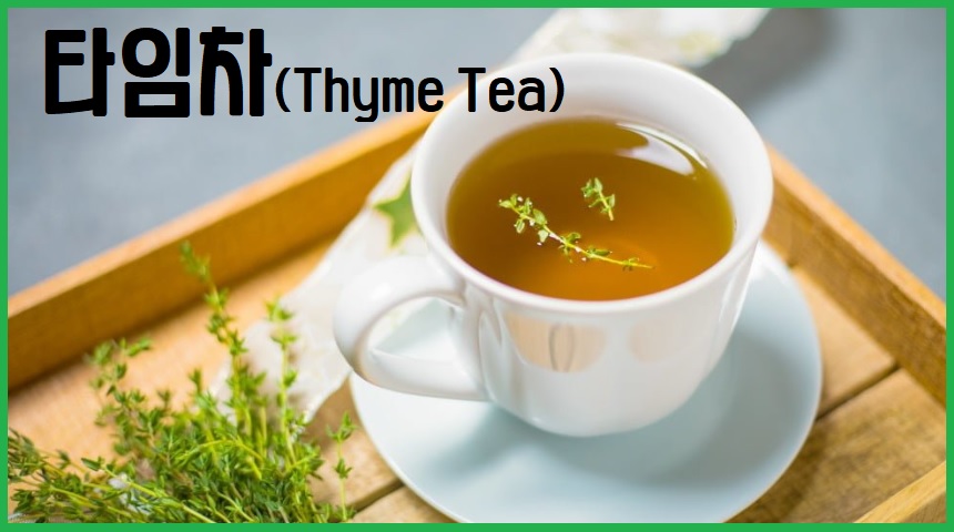 타임차 THYME TEA