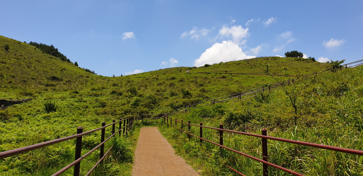 설연휴 제주도여행