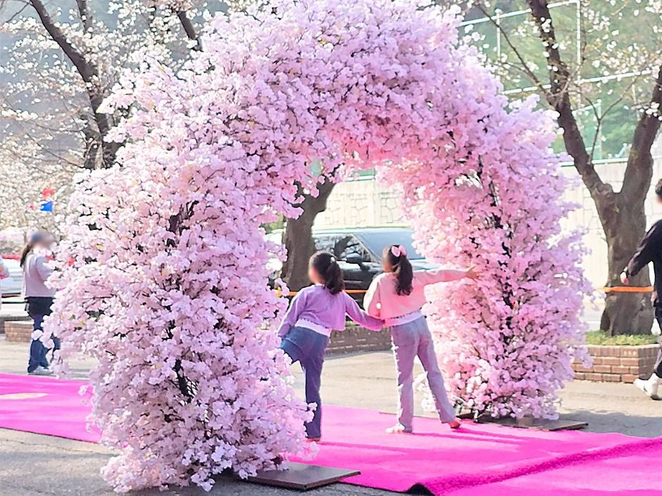 에덴벚꽃길 벚꽃축제