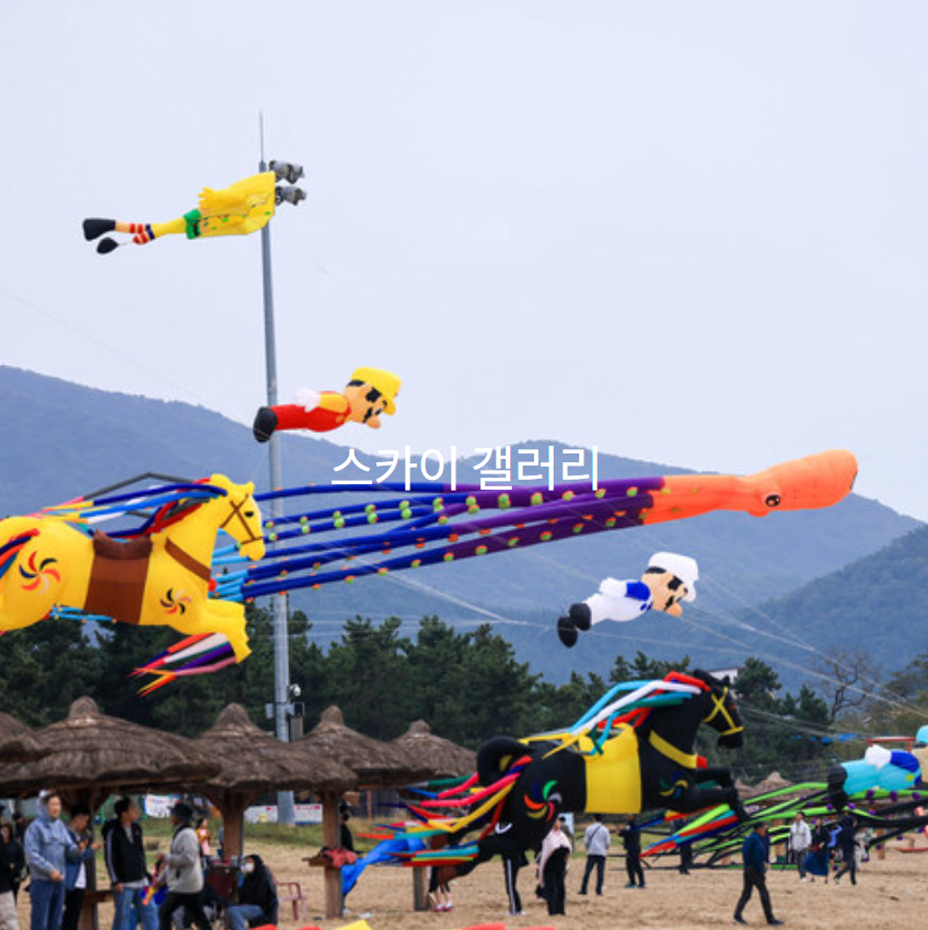 부안 붉은노을축제