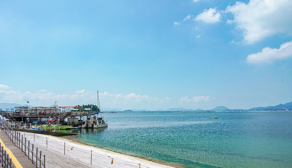 남해안 반려견 겨울 나들이 명소, 강아지와 함께 걷기 좋은 바다 산책 코스