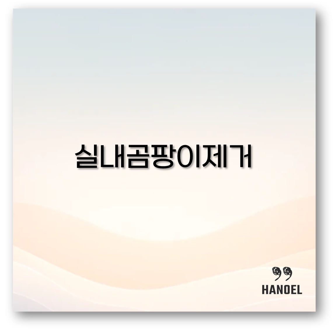 실내곰팡이제거