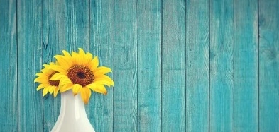 꽃 꿈해몽 67가지