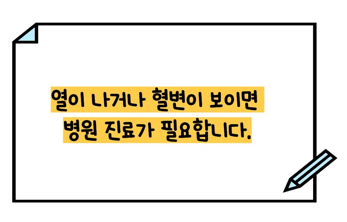 장염 빨리낫는법