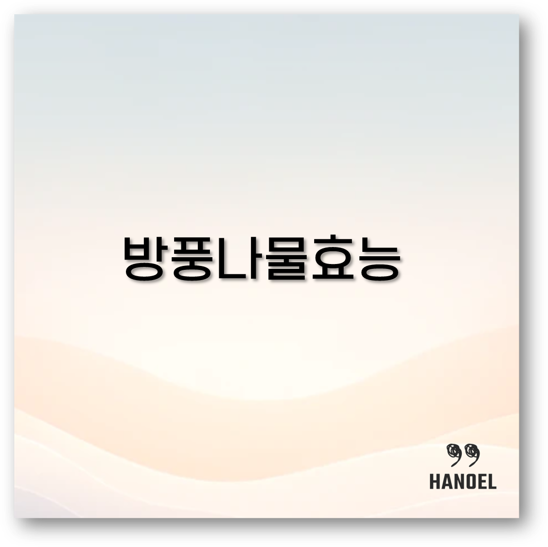 방풍나물 효능과 요리법부터 재배법 장아찌 만드는 법까지 놓치면 손해