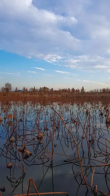 익산 가볼만한곳 베스트10 현지인 추천 필수코스_2