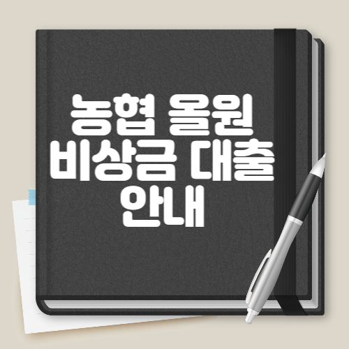 농협 올원 비상금 대출