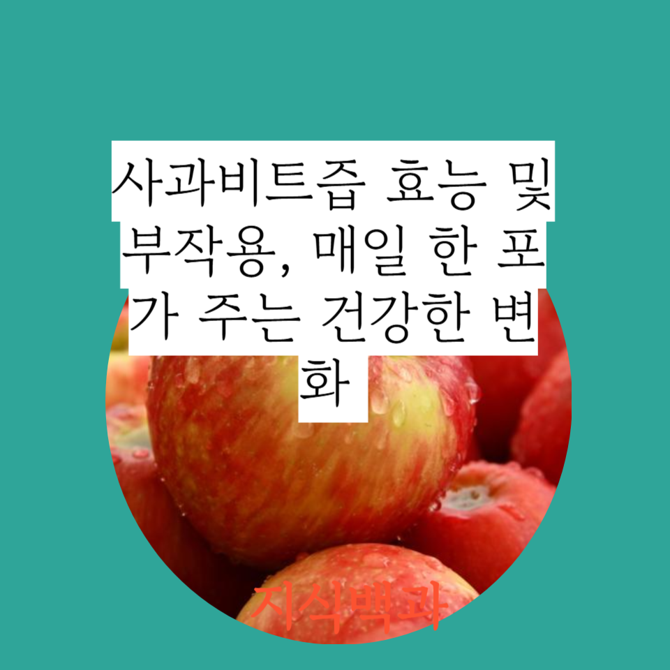 사과비트즙 효능 및 부작용, 매일 한 포가 주는 건강한 변화 🍎