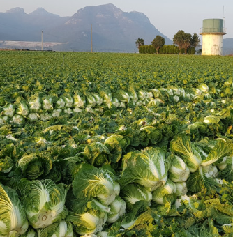 농부삼촌영농조합법인