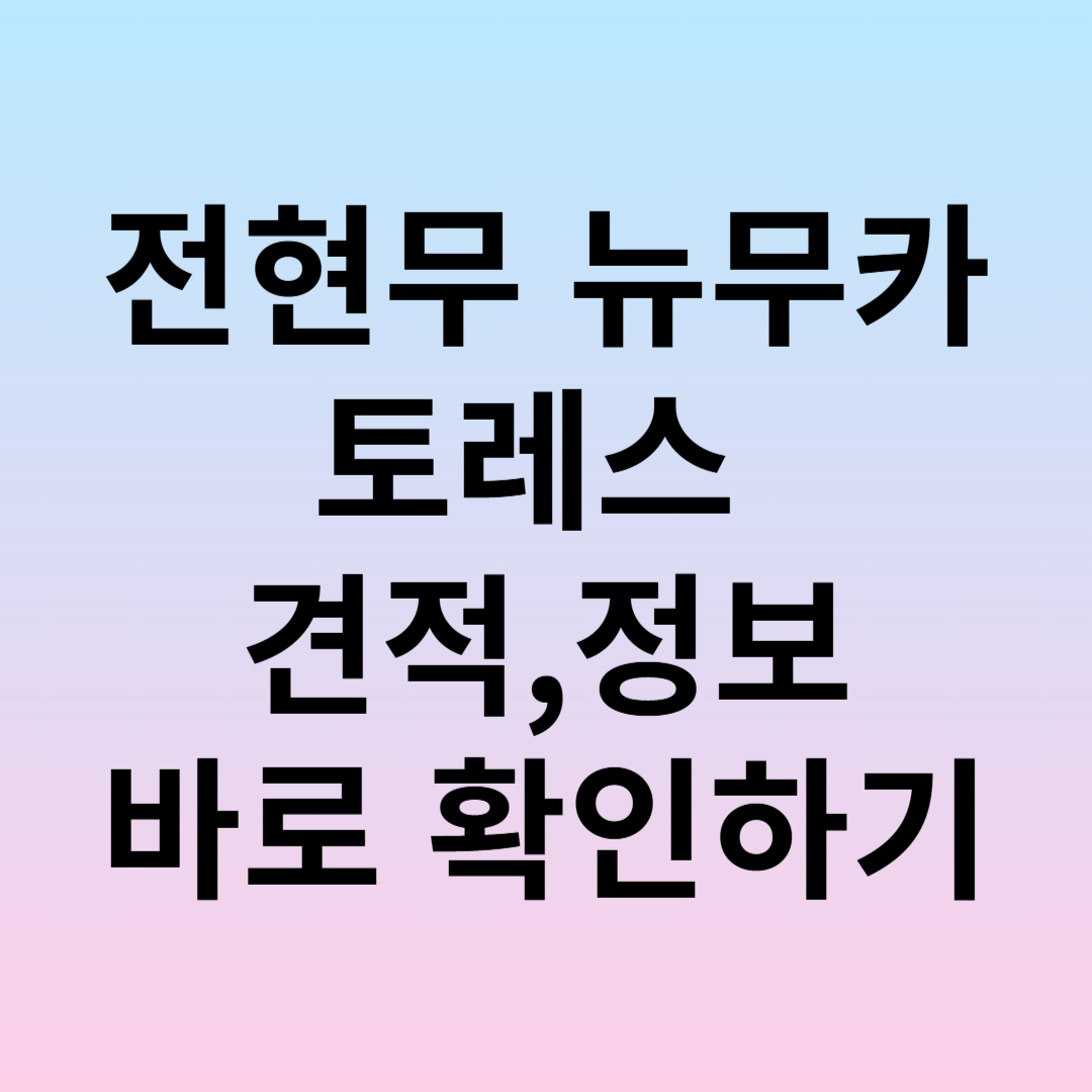 전현무 뉴무카 캠핑카 토레스 가격 및 정보 확인