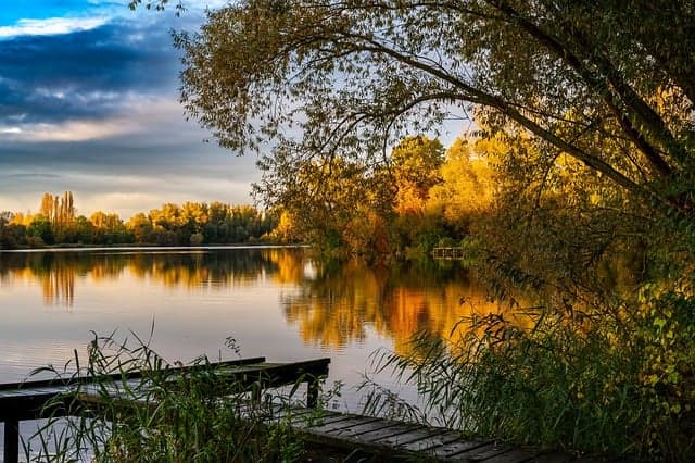 금기 음식과 세금 정책