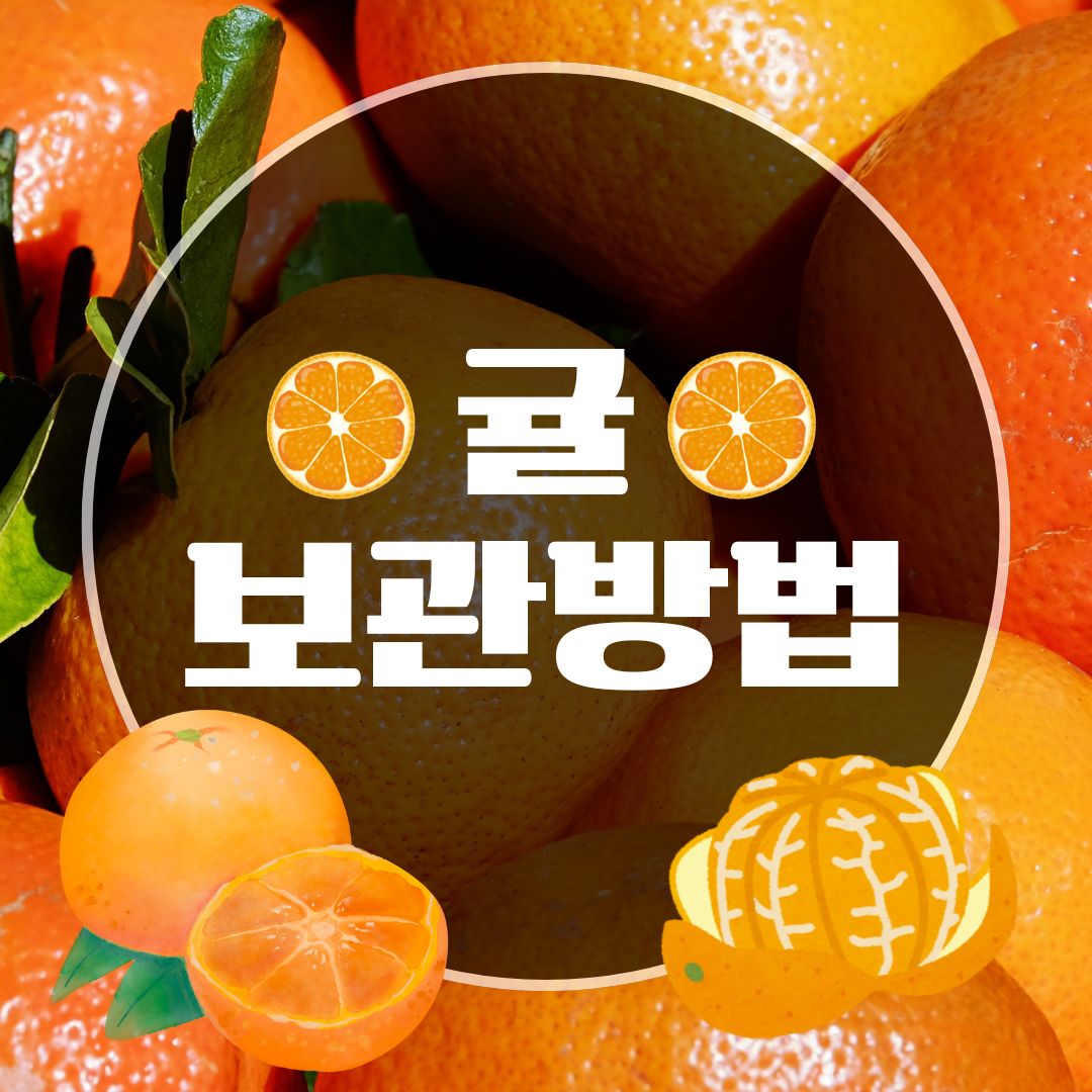 귤 보관법