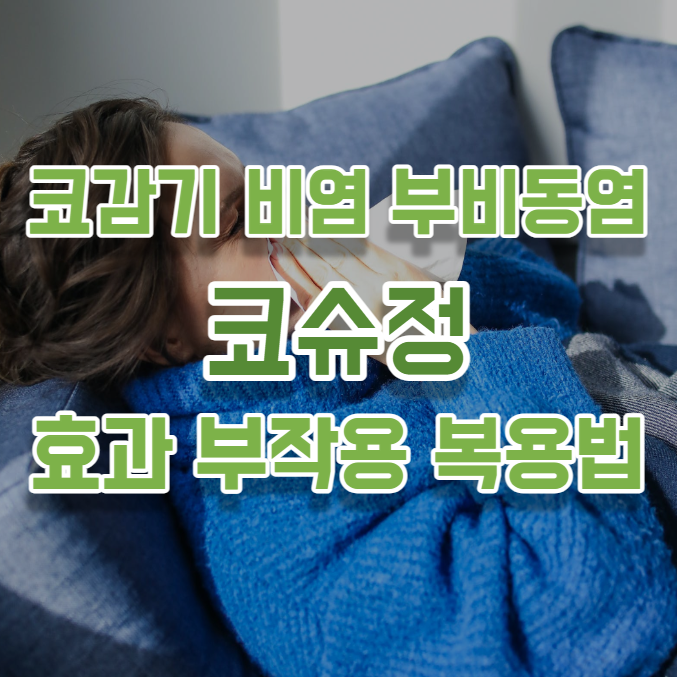 코슈정 효과 부작용 복용법 알레르기 비염 부비동염 코막힘