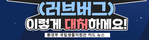 알트태그-러브버그 대처방법 바로가기