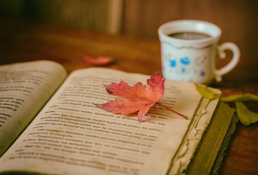 마음: 정서적 안정 VS 자존감 자립