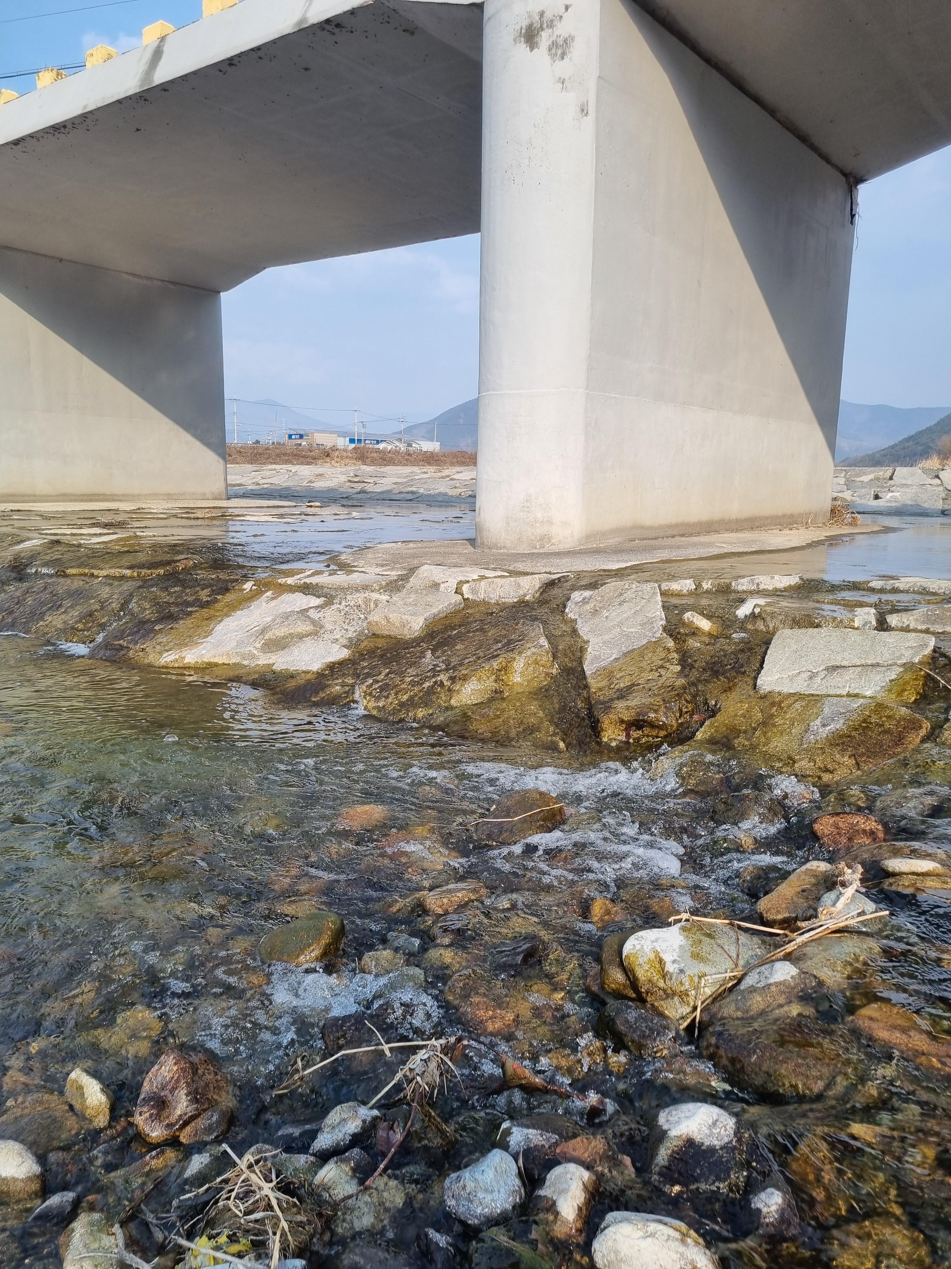 엠와이 힐링 캠핑장