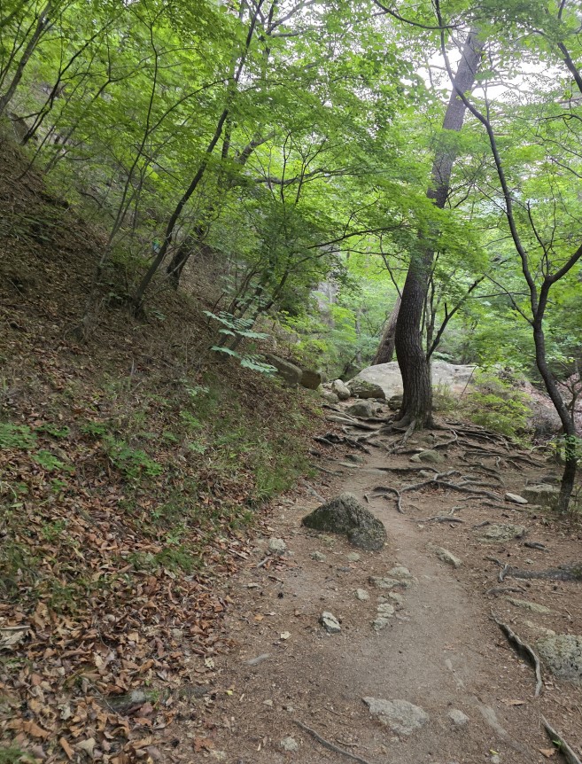 법주사부터 천왕봉까지