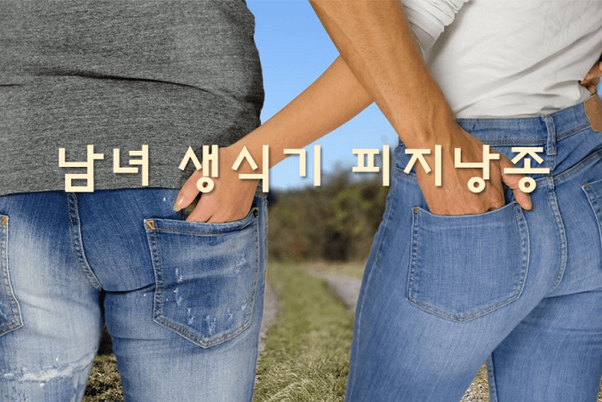 남자, 여자 생식기 피지낭종, 원인, 제거 수술 비용