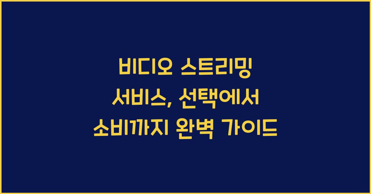 비디오 스트리밍 서비스