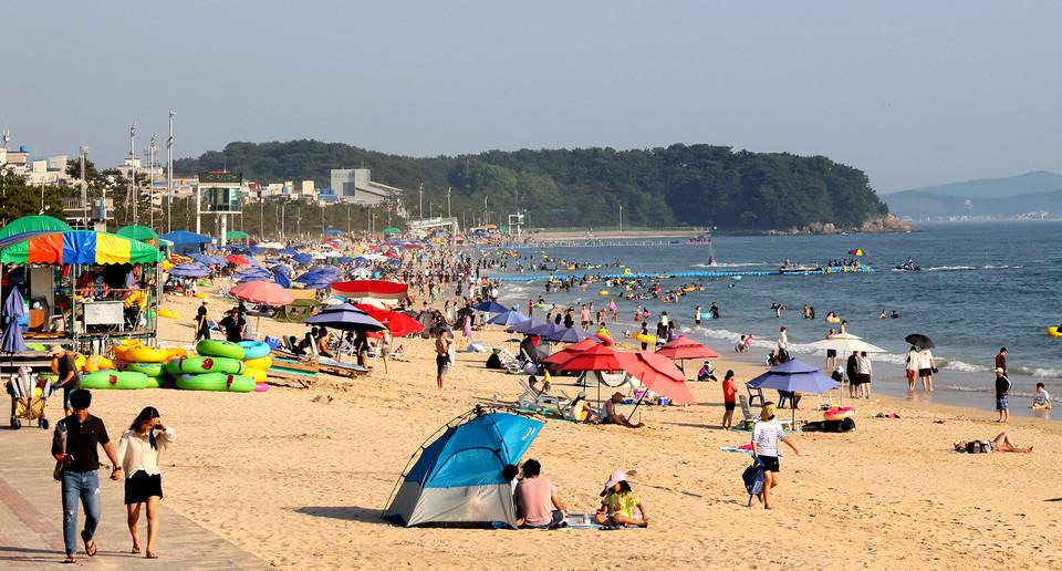 2026 보령머드축제 머드체험존 입장권 예매하러 가기