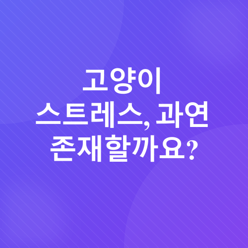 고양이 스트레스 관리_1