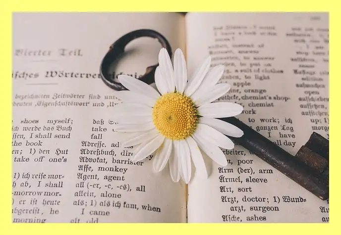 한강 소년이 온다