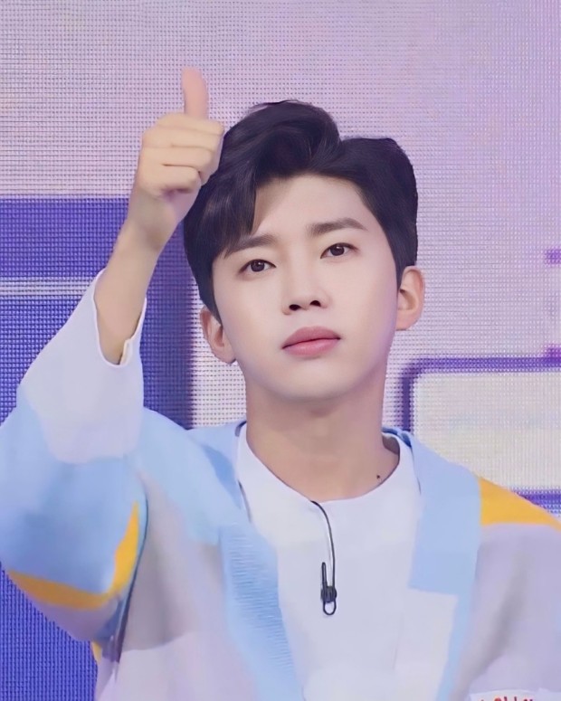 임영웅 콘서트