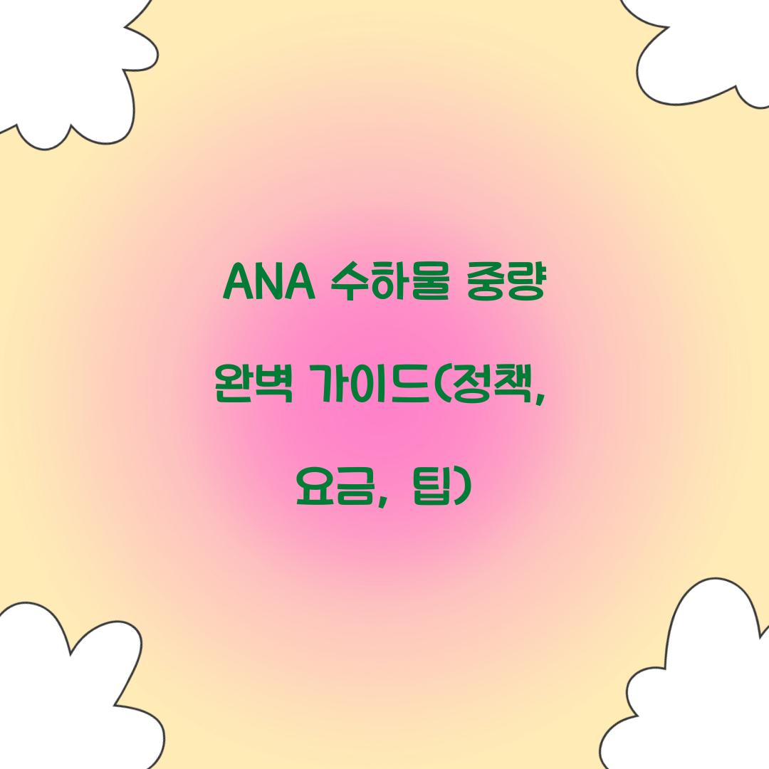 ANA 수하물 중량