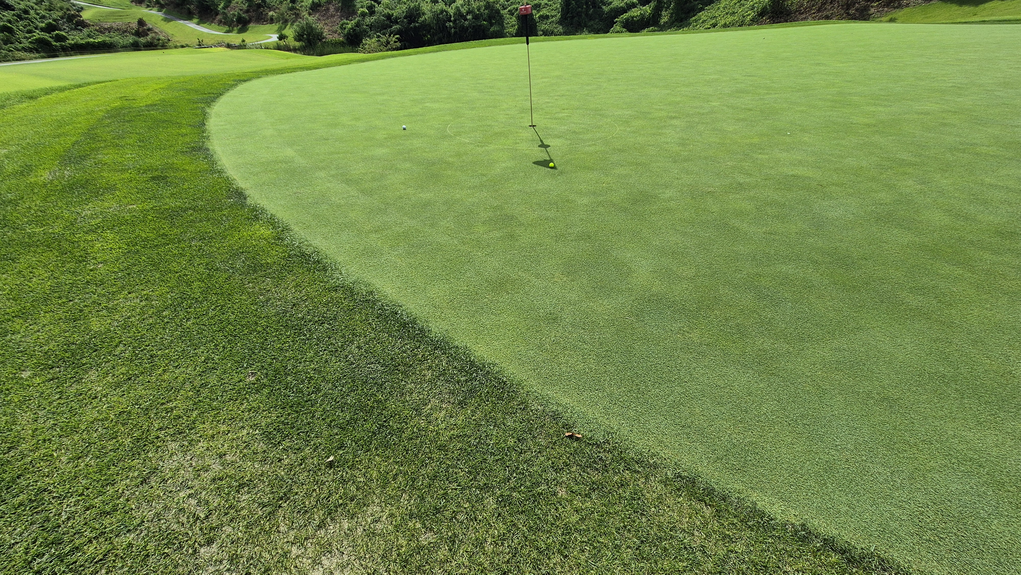 세일cc 들길-산길 코스 라운드 후기