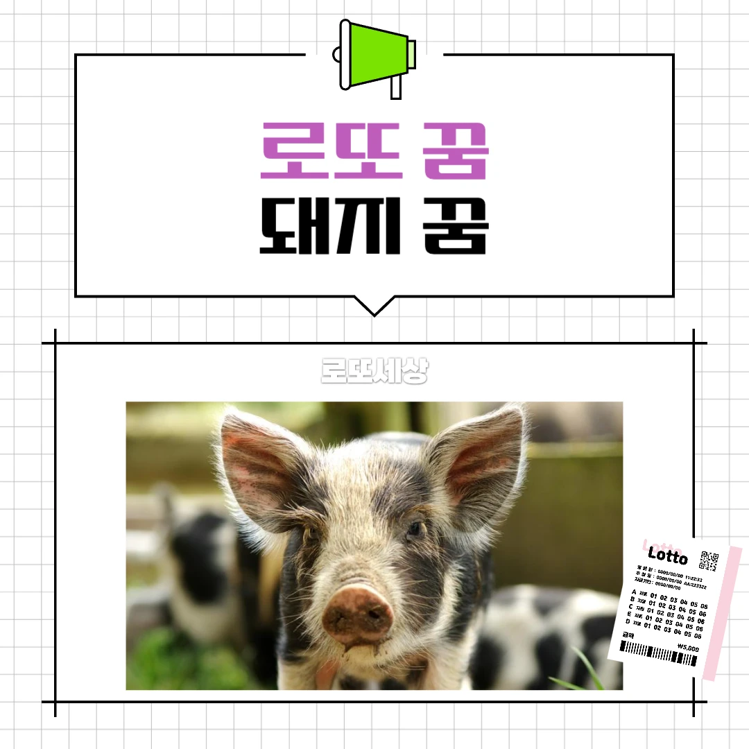 돼지가 찾아오는 꿈