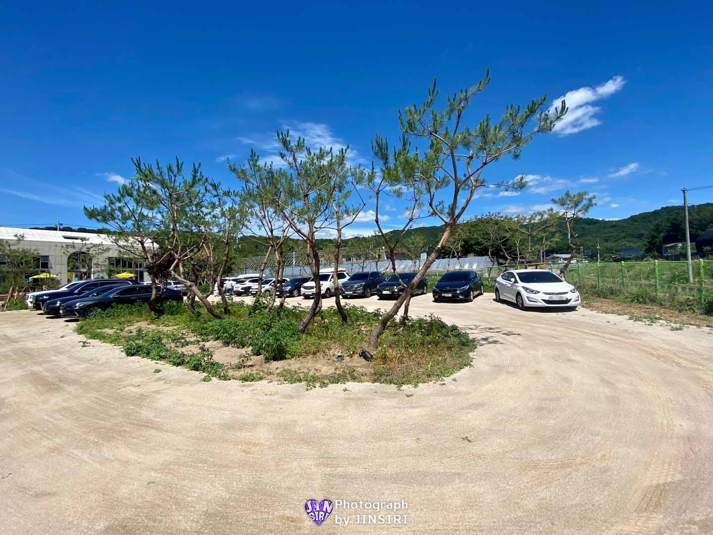 ๊ฒฝ๊ธฐ ๊ณ ์ ๋์๊ตฌ ์์ธ๊ทผ๊ต ์ ์ ์นดํ์ถ์ฒ ์ผ์ดํฌ ๋ง์ง