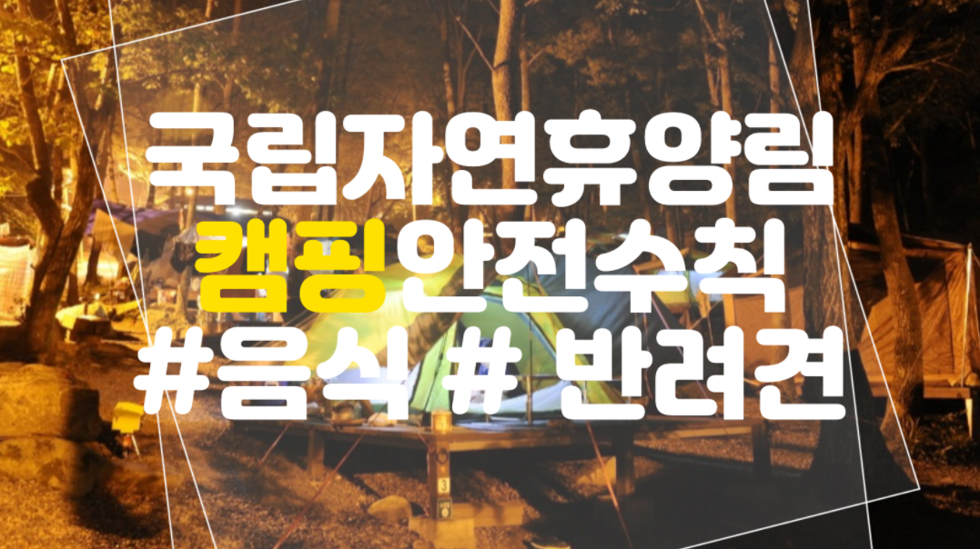 자연