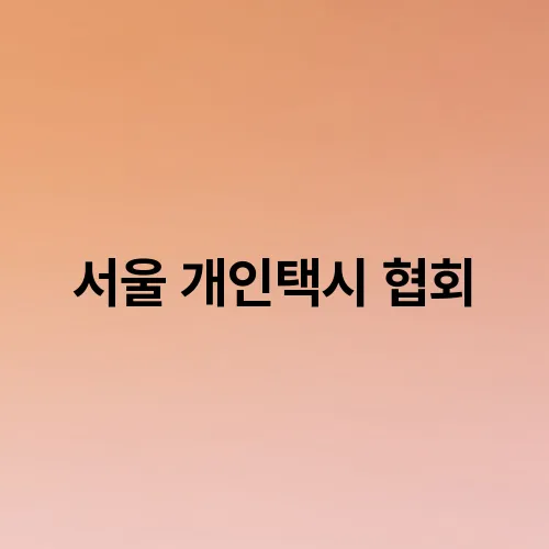 서울 개인택시 협회