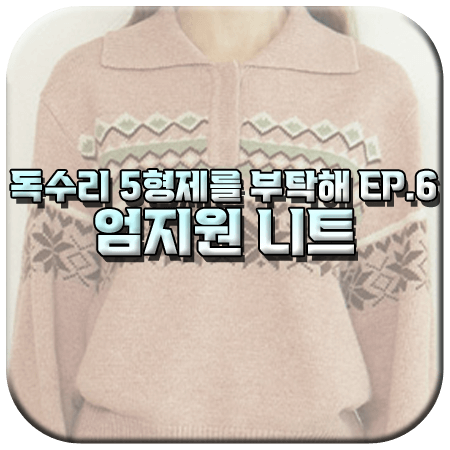 독수리 5형제를 부탁해 6회 엄지원 니트