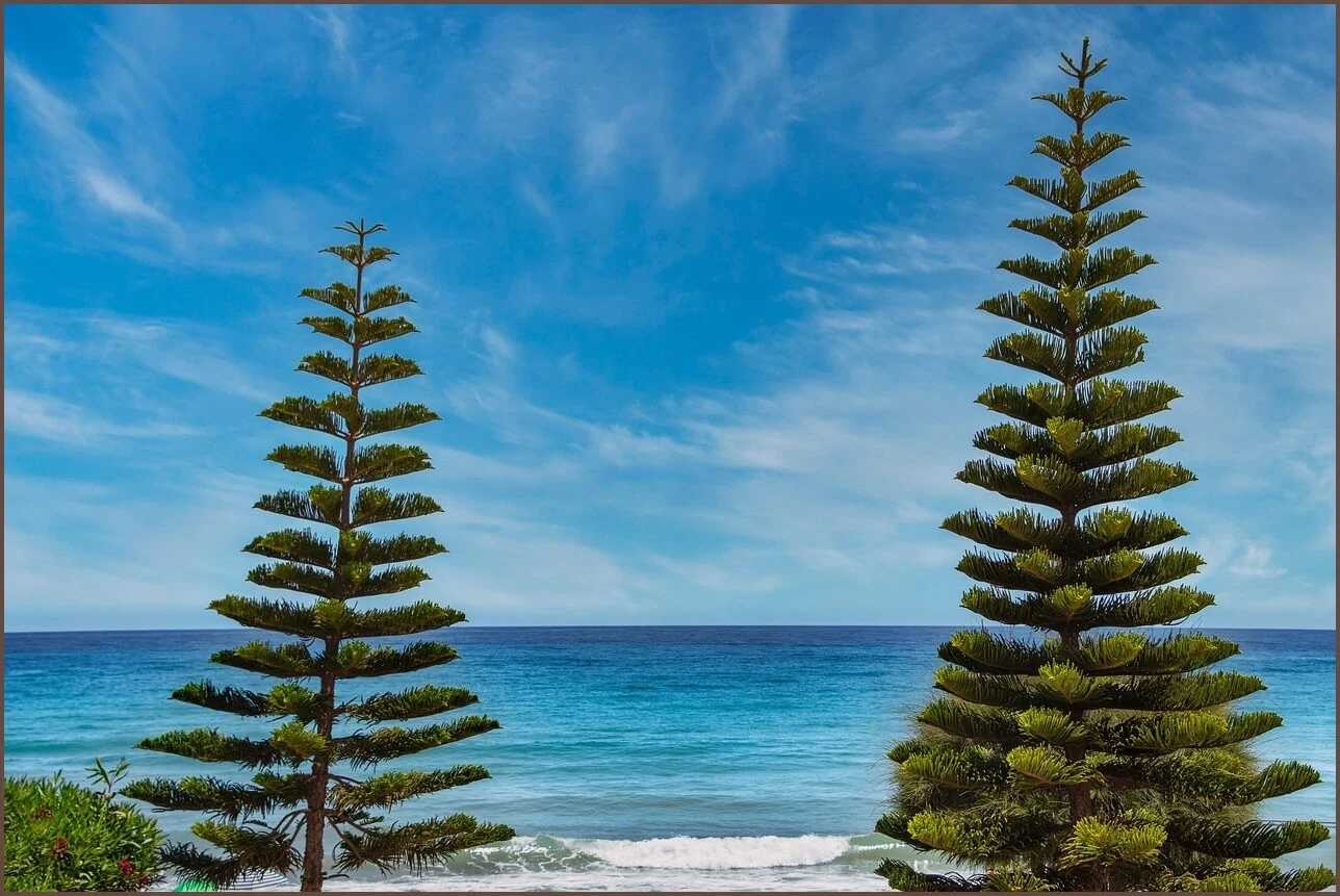 농협 예금금리 조회