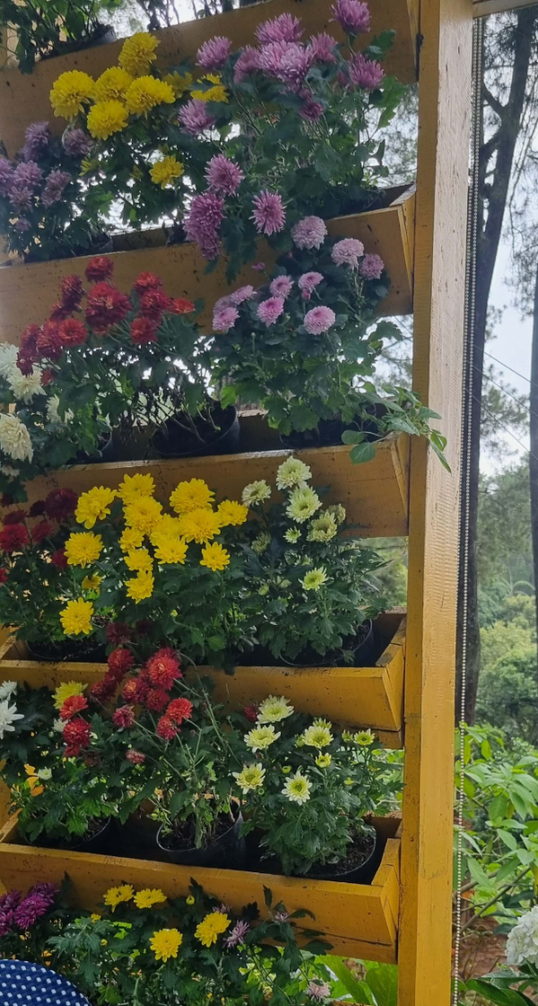 Orchid Forest Cikole