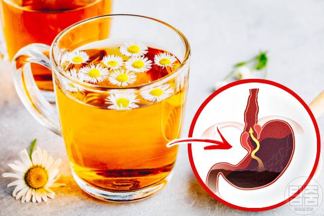 역류성식도염 자연치료 카모마일차