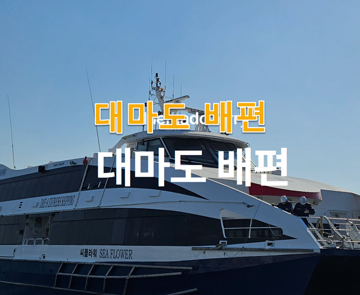 대마도 입출국·세관 주의사항: 면세한도·반입 제한·신고 요령 정리