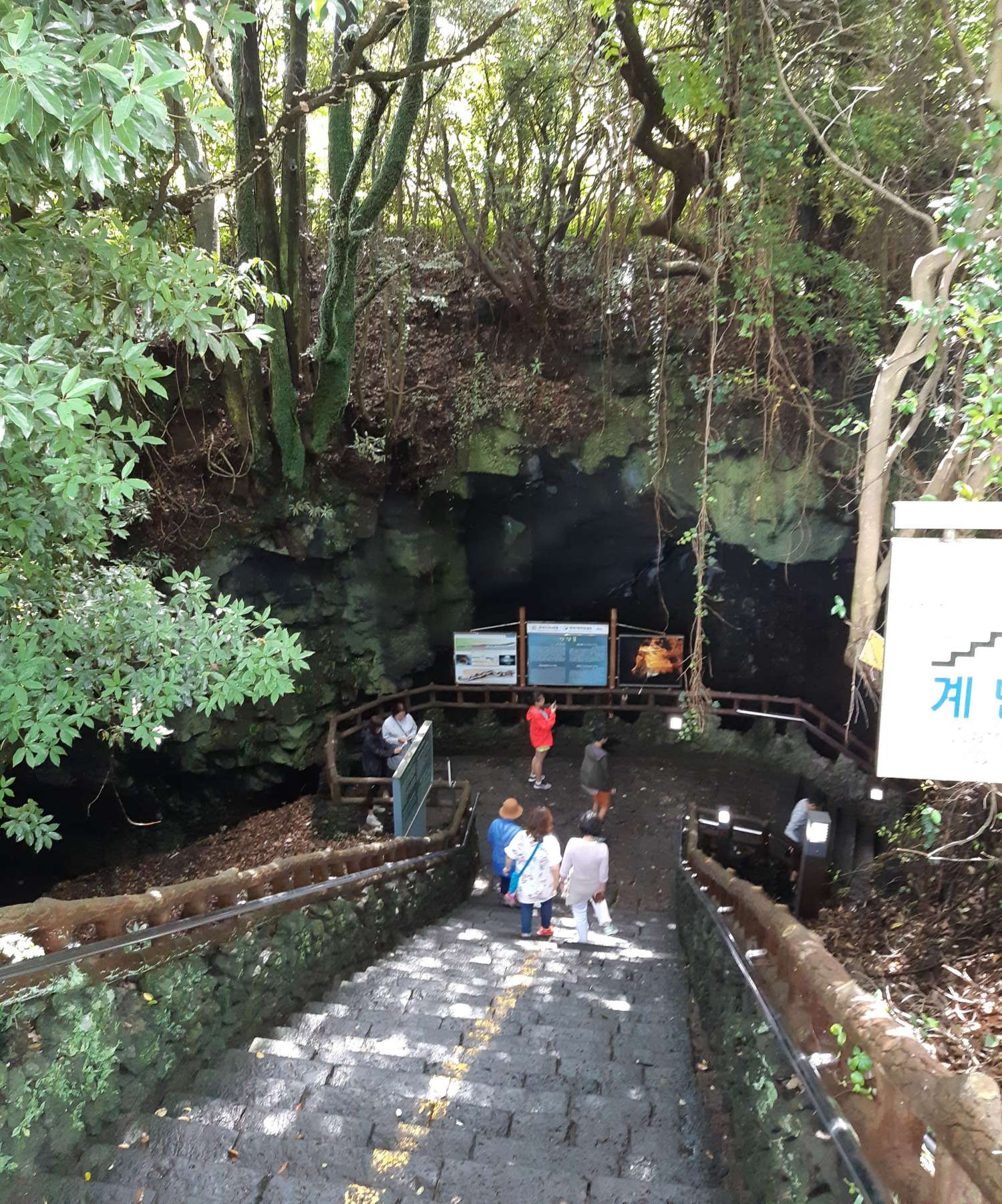 제주 만장굴 입구