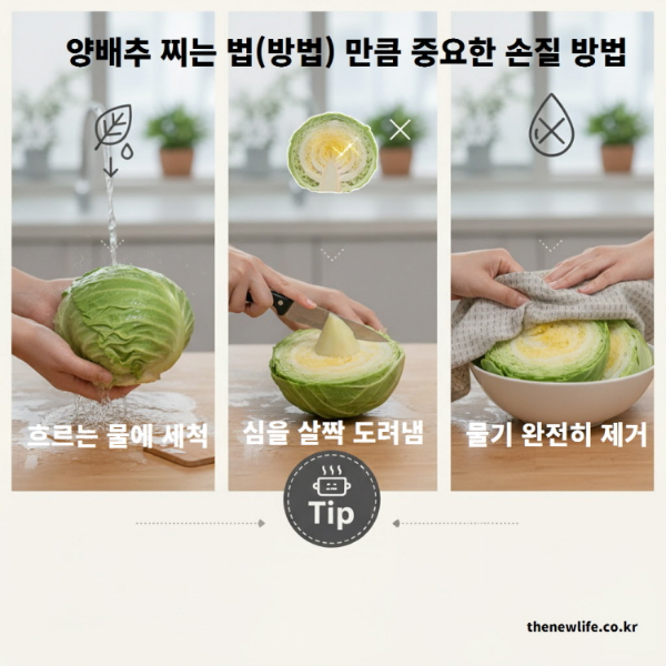 양배추 찌는 방법(법)만큼 중요한 손질 방법 &ndash; 세척, 심 제거, 물기 완전 제거