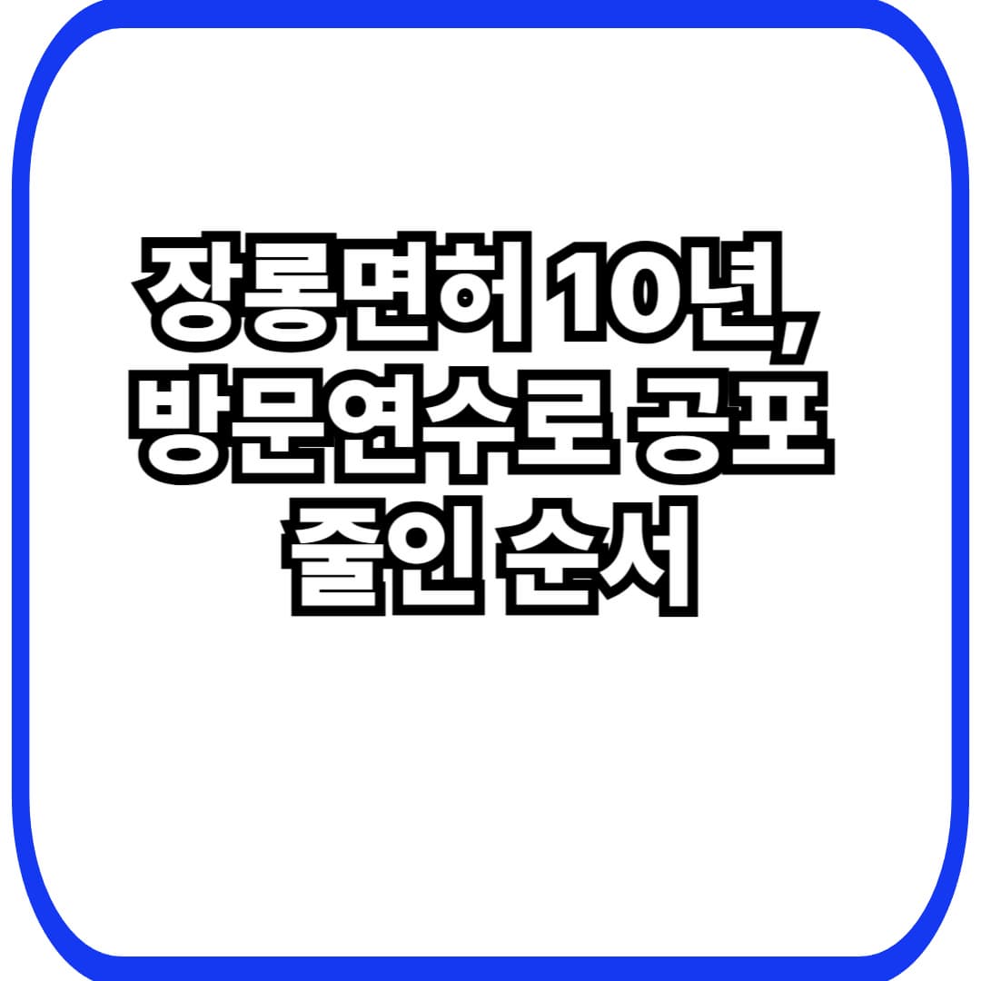 장롱면허 10년 차, 방문운전연수로 초보 공포를 줄인 현실 후기