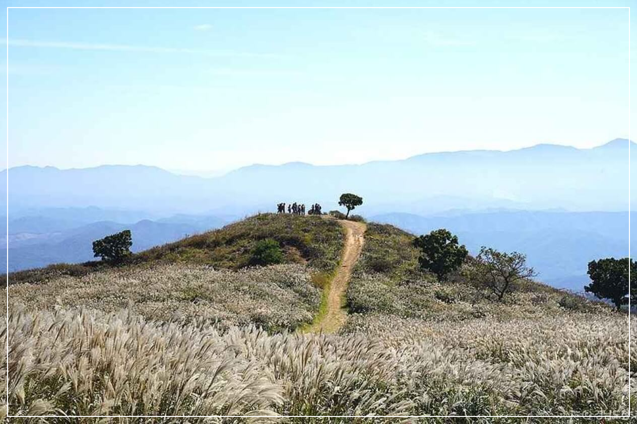 합천 가볼만한곳 베스트10 황매산